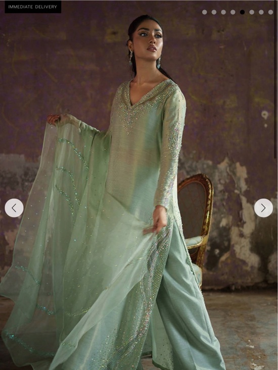 Farida hasan Other - Farida Hasan Mint Green Embellished Women’s Dress